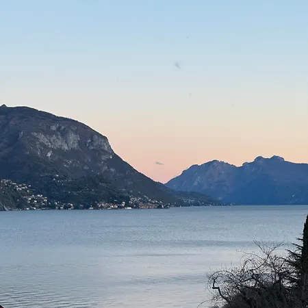 Monoflex Аккуазериа